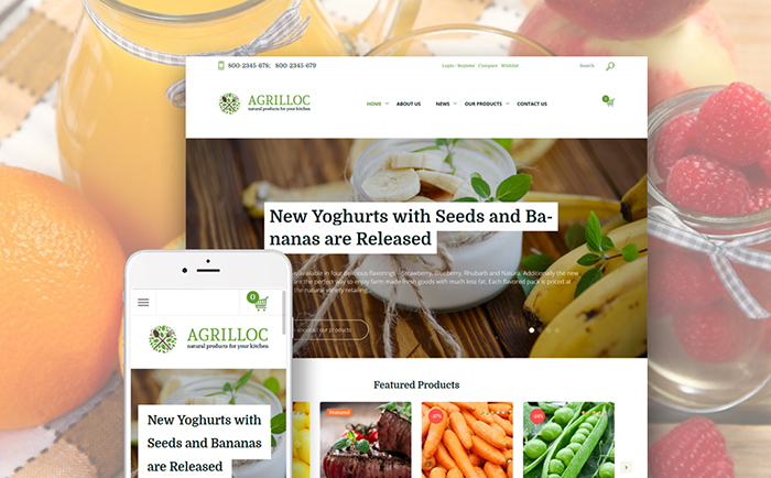 Healthy Food Store WooCommerce Theme 